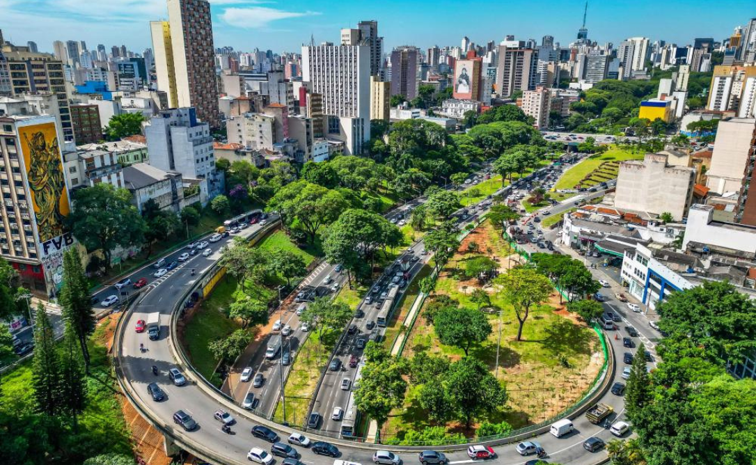 Prefeitura anuncia 50 bosques urbanos, plantio de 120 mil árvores e transplante de espécies adultas