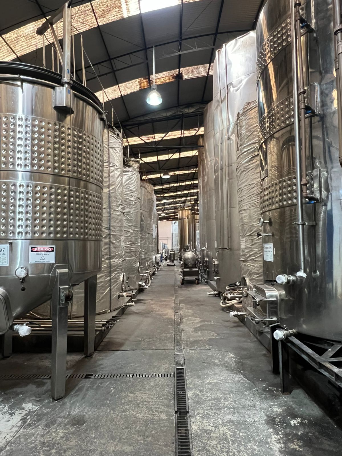 641889de-99e4-4c23-ba26-0ff3fcb44805 Tramarin Vinhos: Elegância artesanal da Serra Gaúcha conquista prêmios e mira o mercado internacional