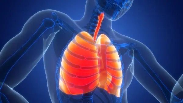 bd58f0c8-9ab7-4331-9314-00d3b575ea89 Dia do Pulmão: Doenças silenciosas começam pela respiração: o que você precisa saber