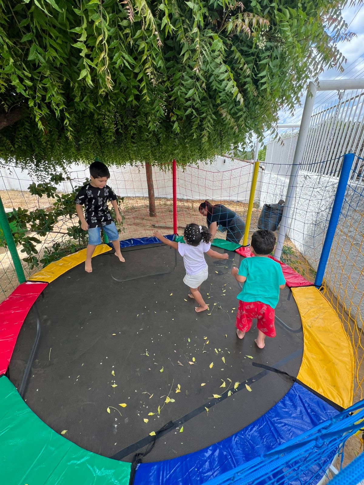 696a9750-013b-4052-8cf3-c8a26b82ec7e “A mente de uma criança é um jardim: o que plantamos hoje florescerá por toda a vida”, afirma Dr. Pedro Nogueira