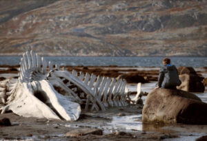 IMG_2917-1-300x205 Livro aborda o conflito Rússia-Ucrânia pelo cinema em ‘Rússia, Ucrânia e Cinema em Guerra’